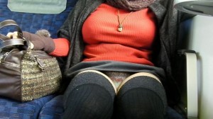 【電車パンチラエロ画像】向かいの席の女性のスカートの中が見えるように背をかがんでしまうのはオレだけか？